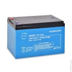 Enix - Batterie(s) Batterie lead crystal 6-CNFJ-14 12V 14Ah M5-F