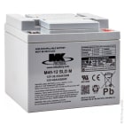 Enix - Batterie(s) Batterie plomb AGM M45-12SLD-M 12V 45Ah M6-F