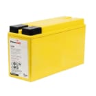 Enix - Batterie(s) Batterie telecom PowerSafe V FT 12V30F 12V 31Ah M8-F