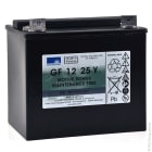 Enix - Batterie(s) Batterie traction SONNENSCHEIN GF-Y GF12025YG 12V 28Ah M6-M