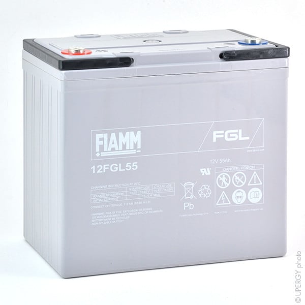 Enix - Batterie(s) Batterie plomb AGM 12FGL55 12V 55Ah M6-F