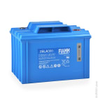 Enix - Batterie(s) Batterie plomb AGM 2SLA300 2V 300Ah M8-F
