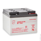 Enix - Batterie(s) Batterie plomb etanche gel NX 24-12 Cyclic 12V 24Ah M5-F