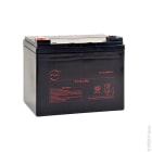 Enix - Unite(s) Batterie plomb AGM NX 33-12 General Purpose 12V 33Ah M6-F