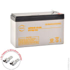 Enix - Unite(s) Batterie onduleur (UPS) NX 9-12 UPS High Rate 12V 9Ah F4.8