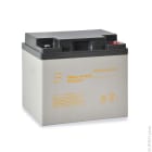 Enix - Unite(s) Batterie onduleur (UPS) NX 45-12 UPS High Rate FR 12V 45Ah M6-F