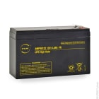 Enix - Unite(s) Batterie onduleur (UPS) NX 5.5-12 UPS High Rate FR 12V 5.5Ah F6.35-F4.8