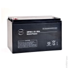 Enix - Unite(s) Batterie plomb AGM NX 100-12 General Purpose 12V 100Ah M8-F