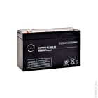Enix - Unite(s) Batterie plomb AGM NX 10-6 General Purpose FR 6V 10Ah F6.35