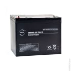 Enix - Unite(s) Batterie plomb AGM NX 75-12 General Purpose FR 12V 75Ah M6-F