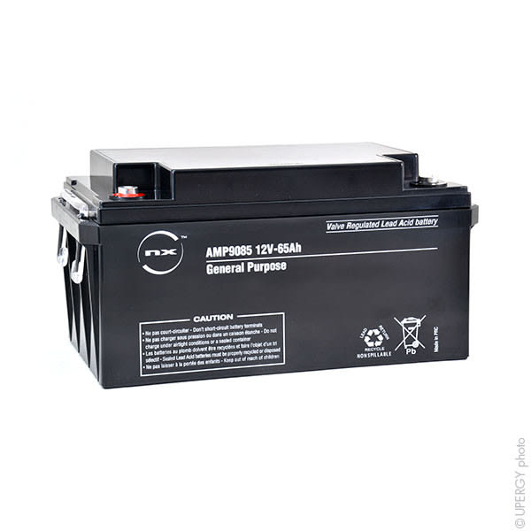Enix - Batterie(s) Batterie plomb AGM NX 65-12 General Purpose 12V 65Ah M6-F