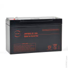 Enix - Batterie(s) Batterie plomb AGM NX 13-6 Cyclic 6V 13Ah F6.35