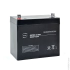 Enix - Batterie(s) Batterie plomb AGM NX 55-12 General Purpose 12V 55Ah M6-M