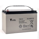 Enix - Batterie(s) Batterie plomb AGM YUCEL Y100-12 12V 100Ah M8-F