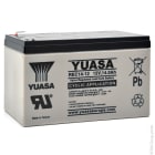 Enix - Batterie(s) Batterie plomb AGM YUASA REC14-12 12V 14Ah F6.35