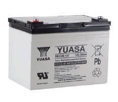 Enix - Batterie(s) Batterie plomb AGM YUASA REC36-12I 12V 36Ah M5-F