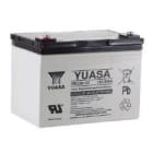 Enix - Batterie(s) Batterie plomb AGM YUASA REC36-12I 12V 36Ah M5-F