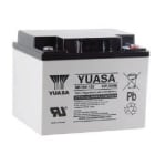 Enix - Batterie(s) Batterie plomb AGM YUASA REC50-12 12V 50Ah M5-F