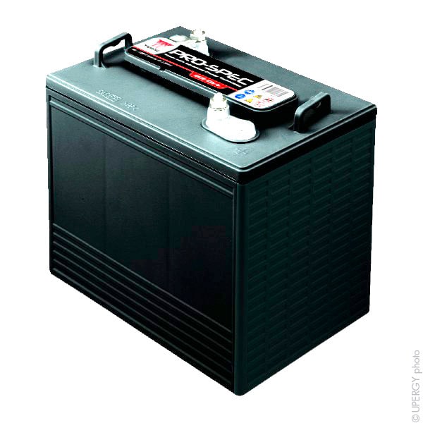 Enix - Batterie(s) Batterie traction YUASA PRO-SPEC DCB605-6 6V 210Ah M8-V