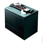 Enix - Batterie(s) Batterie traction YUASA PRO-SPEC DCB605-6 6V 210Ah M8-V