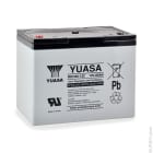 Enix - Unite(s) Batterie plomb AGM YUASA REC80-12 12V 80Ah M6-F