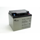 Enix - Batterie(s) Batterie plomb AGM YUCEL Y38-12IFR 12V 38Ah M5-F