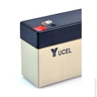 Enix - Unité(s) Batterie plomb AGM YUCEL Y2.1-12FR 12V 2.1Ah F4.8