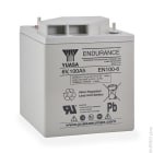 Enix - Batterie(s) Batterie plomb AGM YUASA EN100-6 6V 100Ah M8-V