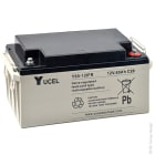 Enix - Batterie(s) Batterie plomb AGM YUCEL Y65-12IFR 12V 65Ah M6-F
