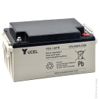 Enix - Batterie(s) Batterie plomb AGM YUCEL Y65-12IFR 12V 65Ah M6-F