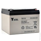 Enix - Unite(s) Batterie plomb AGM YUCEL Y24-12I 12V 24Ah M5-F