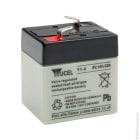 Enix - Batterie(s) Batterie plomb AGM YUCEL Y1-6 6V 1Ah F4.8