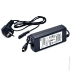 Enix - Unite(s) Chargeur Lithium Fer Phosphate 4S 4A (12V) - Connecteur golf