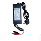 Enix - Unite(s) Chargeur lithium-ion 7S 2.5A (29.4V)