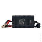 Enix - Unite(s) Chargeur plomb NX 12V-6A 110-230V - pinces crocodiles (Intelligent)