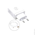 Enix - Unite(s) Chargeur secteur prise EU + Cable Lightning pour iPhone