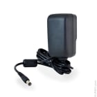 Enix - Unité(s) Chargeur de batterie de télécommande de grue Ikusi