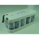 Enix - Pack(s) Batterie Nicd 10x VNT CS 10S1P ST2 12V 1.6Ah Fast