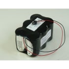 Enix - Unité(s) Batterie alcaline 6x D 6S1P ST2 F150 9V 19.76Ah JST