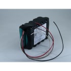 Enix - Pack(s) Batterie médicale rechargeable Nihon kohden BSM2300 12V 3.8Ah F
