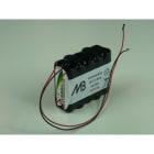 Enix - Pack(s) Batterie Nimh 10x AAA 10S1P ST2 12V 800mAh F100