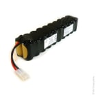 Enix - Unite(s) Batterie aspirateur 20x SC HD ST2 24V 3Ah tamya