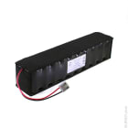 Enix - Batterie(s) Batterie Nimh 20x SC 20S1P ST2 24V 3Ah