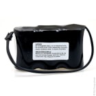 Enix - Batterie(s) Batterie lithium 3xD LS33600 3S1P ST1 10.8V 17Ah Molex