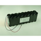 Enix - Pack(s) Batterie lithium 18x A LS17500 18S1P ST2 64.8V 3.6Ah F150