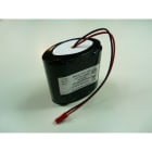 Enix - Pack(s) Batterie lithium 2xD ST1 1S2P F150 3.6V 26Ah JST