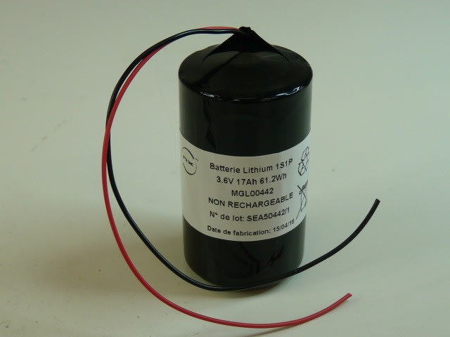 Enix - Pack(s) Batterie lithium 1 x LS33600 1S1SP 3.6V 17Ah F150