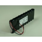 Enix - Pack(s) Batterie Nicd 10AA 10S1P ST1 12V 800mAh F