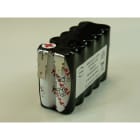 Enix - Pack(s) Batterie systeme alarme 10xAA HT 10S1P ST2 12V 800mAh FAST