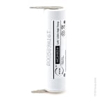 Enix - Unite(s) Batterie eclairage secours 2xSC ST4 Faston 4.8mm (+2.8mm) 2.4V 1.6Ah